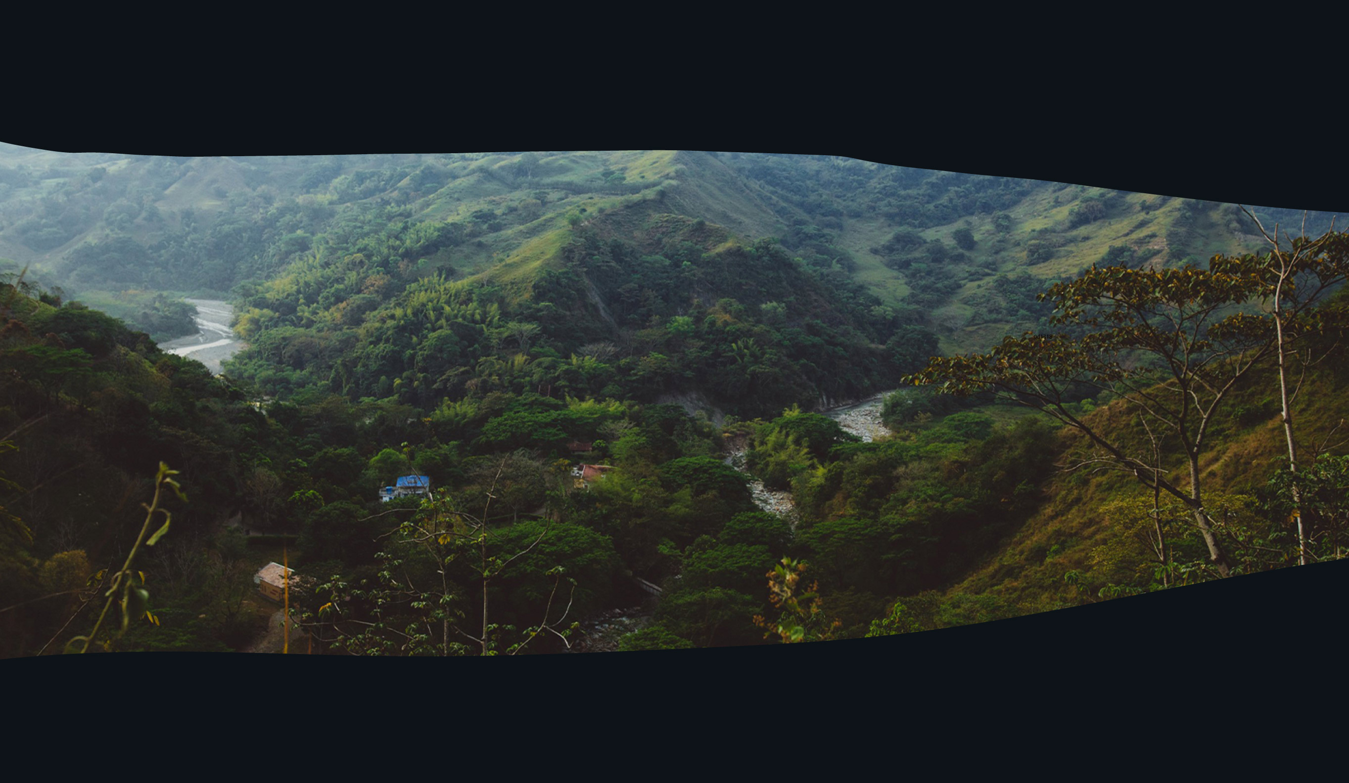 Coffee Island