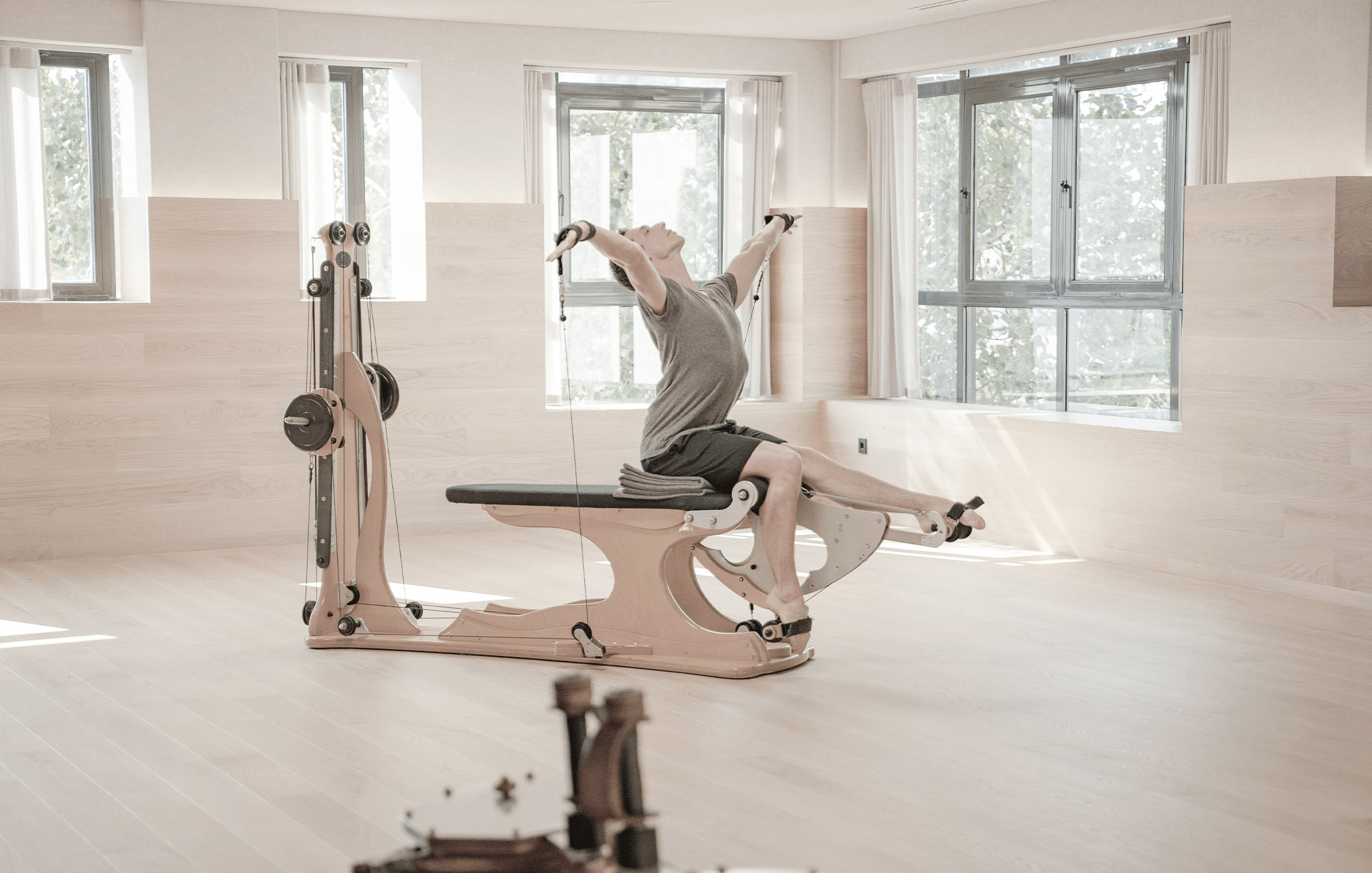 Gyrotonic Harmony