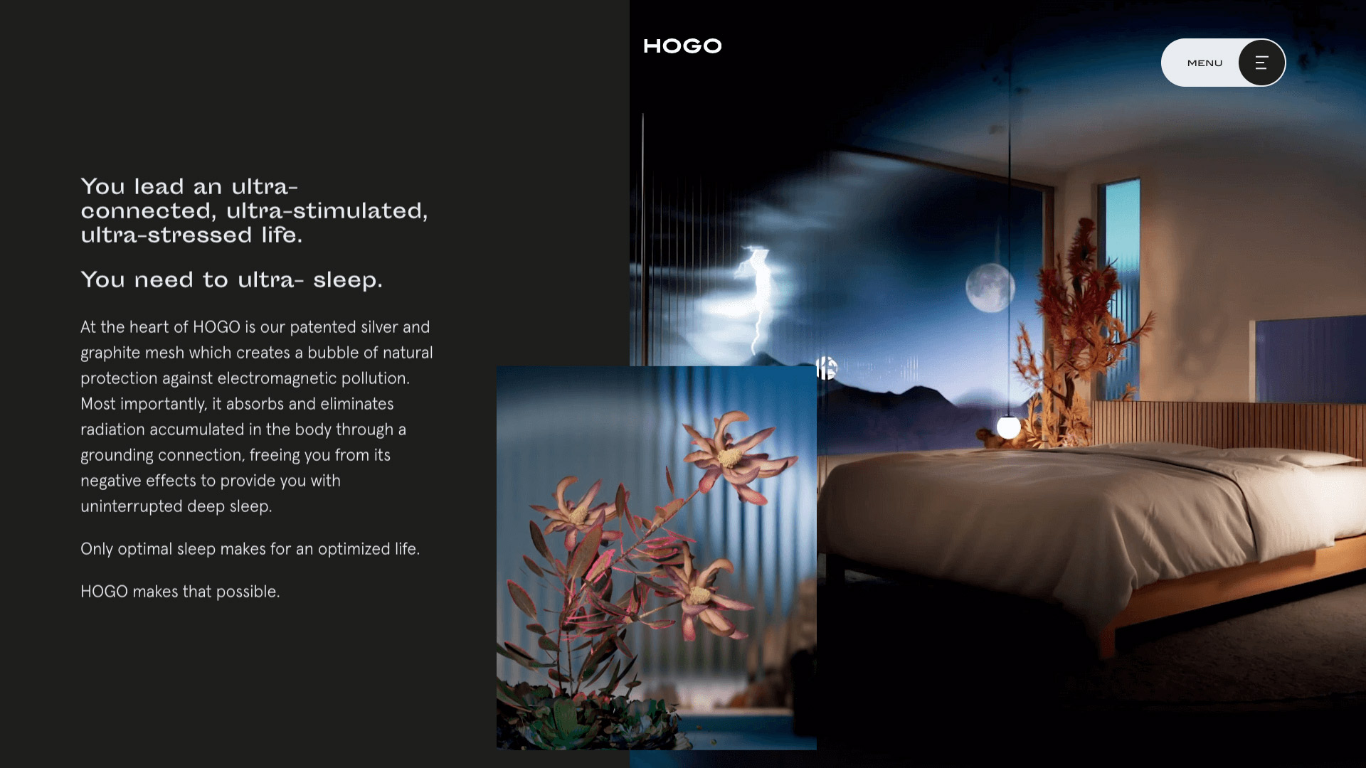 Hogo System