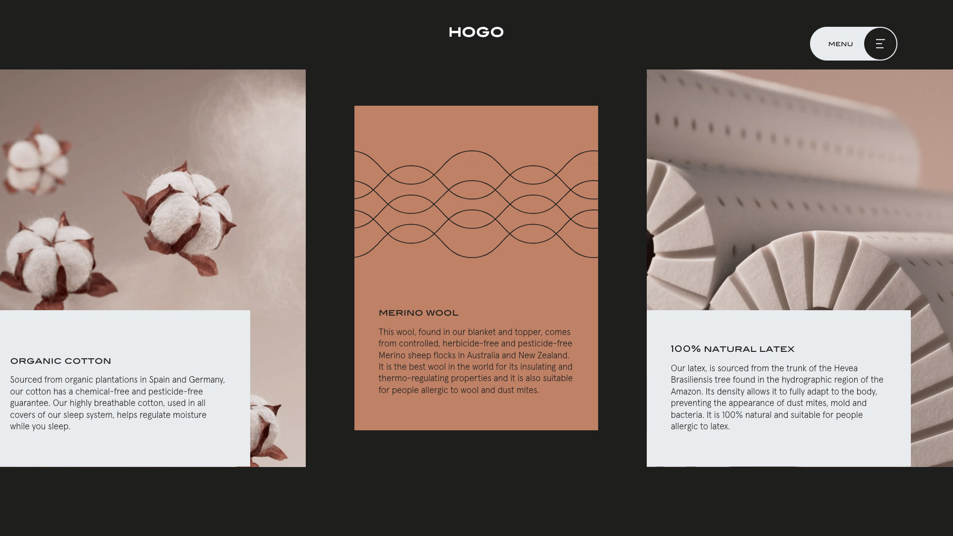 Hogo System